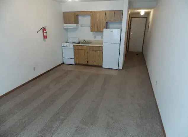 Rent Apartments in Downtown Iowa City with Great Amenities