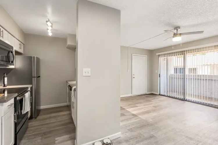 Rent Apartments in Phoenix with Dog Park and Swimming Pool