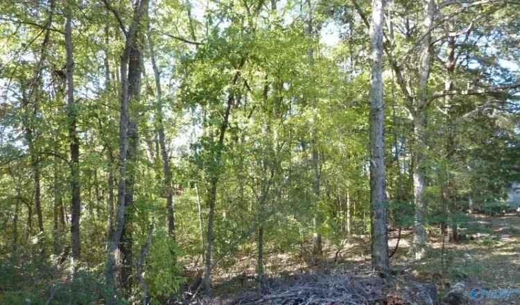 Land For Sale in Decatur, Alabama