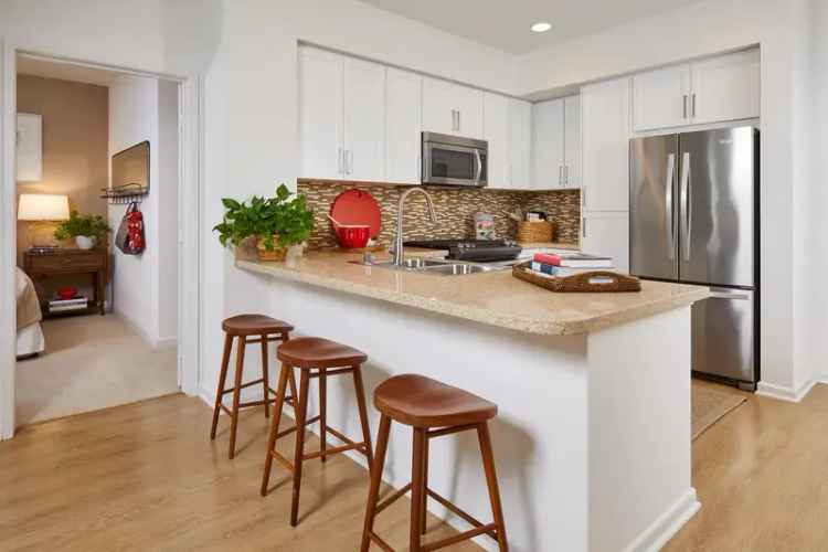 Rent Apartment with Contemporary Interiors Near Guadalupe Trail