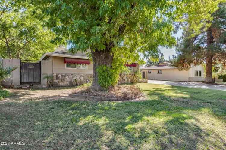 Buy House in Central Phoenix with Pool and Lush Backyard Oasis