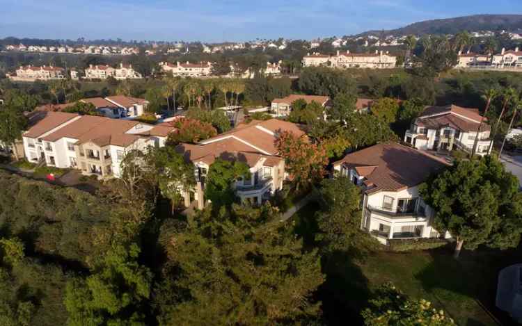 Rent Apartments in San Clemente with Ocean Views and Modern Amenities