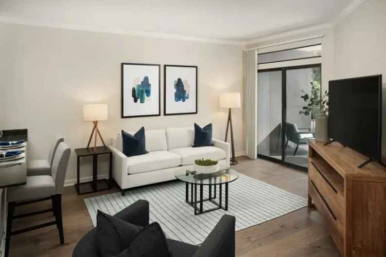 Luxury Apartments for Rent in Clifton with Resort-Style Amenities