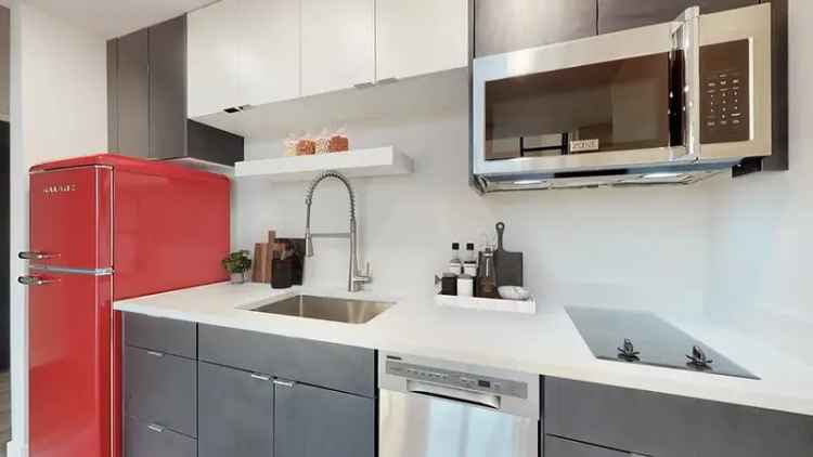 Rent Apartments in Jefferson Park with Modern Amenities and Rooftop Lounge