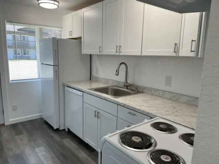 Rent 1 Bedroom Apartment in Bellingham with Great Amenities