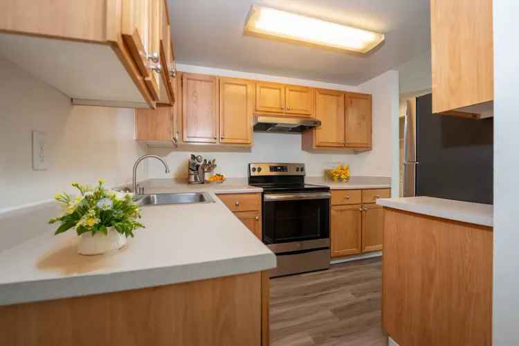 Rent Orchard Ridge Apartments Modern Comfort in Tacoma