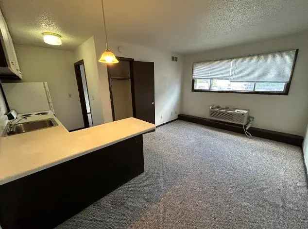 Rent Apartments in Iowa City with In-Unit Laundry and Free Internet