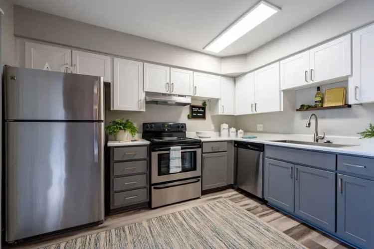 Rent Luxurious Apartments in Chandler with Resort-Style Amenities