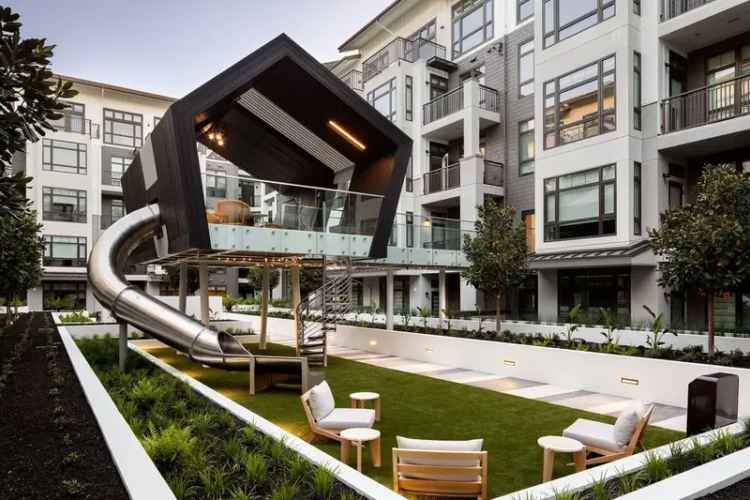 Rent Apartments in Mountain View with Unique Features and Sophisticated Amenities