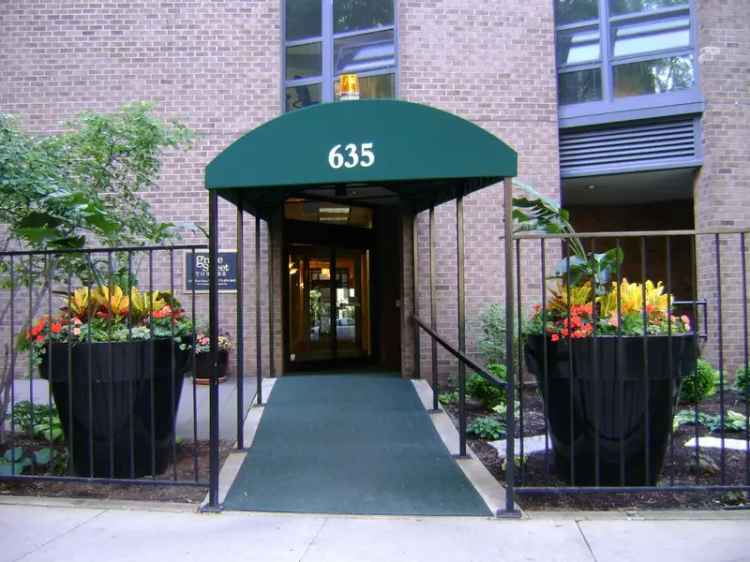 Apartments for Rent in East Lake View Chicago with Modern Amenities