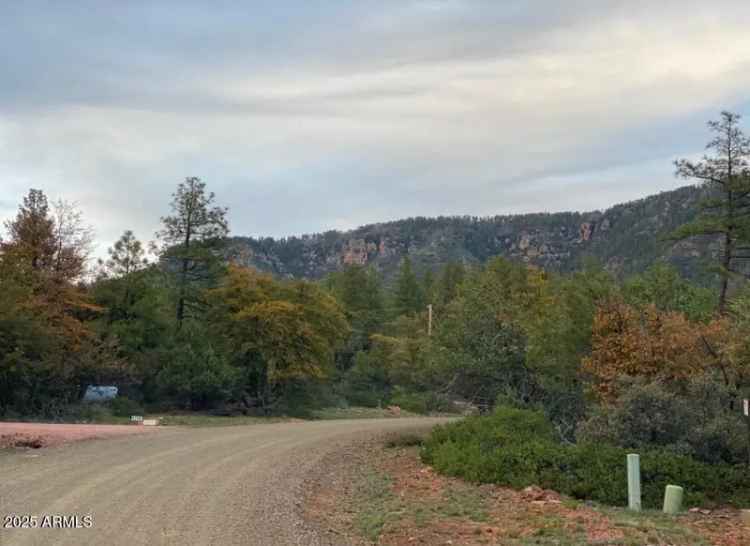 Buy Land in Pine AZ with Stunning Views and Abundant Wildlife