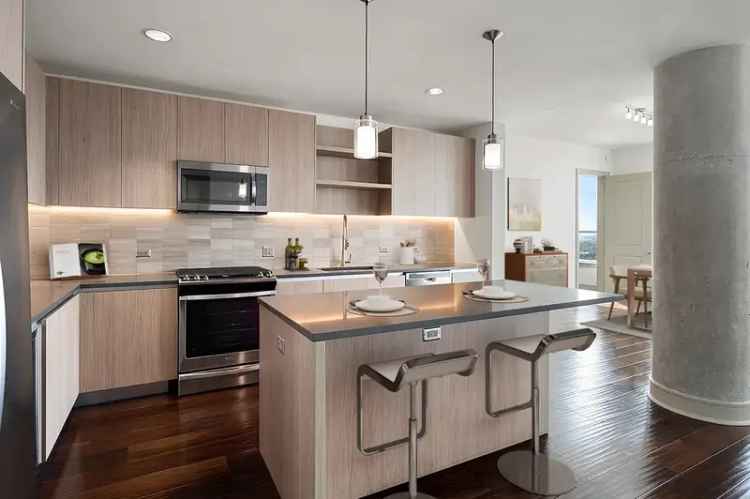 Rent Luxury Apartments in Houston Museum District with Modern Features