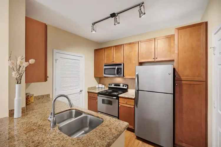 Rent Apartments in Camden Amber Oaks with Modern Amenities and Tours