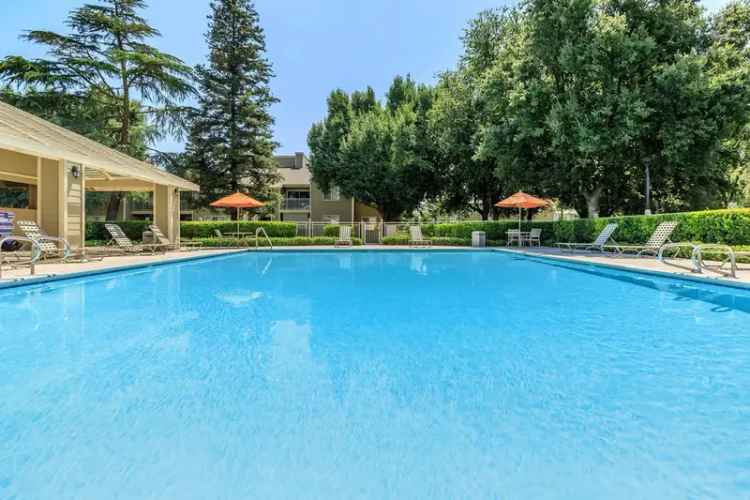 Rent Apartments in Bakersfield with Great Amenities and Special Offers