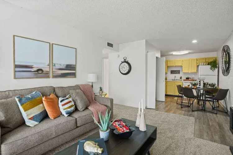 Rent Modern Apartments in El Paso with Great Amenities