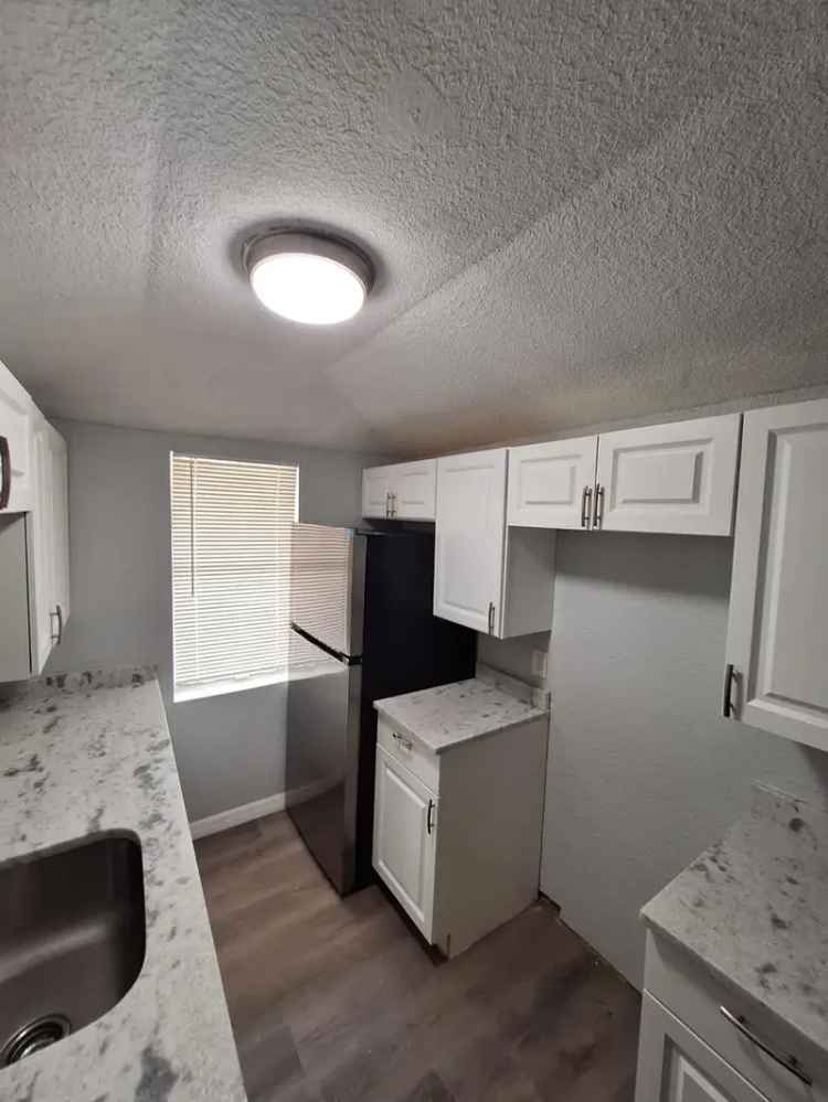 Rent Large 2 Bedroom Apartment in Downtown Fort Myers with Pet Friendly Policy