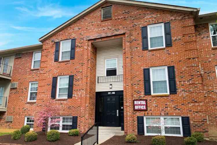 Rent Apartments in Milford with Spacious Layouts and Amenities