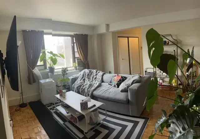 Rent Large Studio Apartment Unit with Separate Kitchen and Dining Area