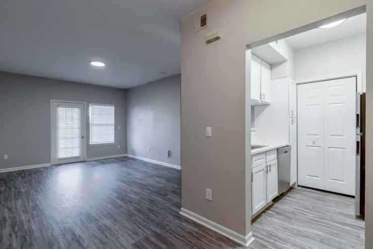 Rent Apartments in Wild Oak Offering One to Three Bedroom Options