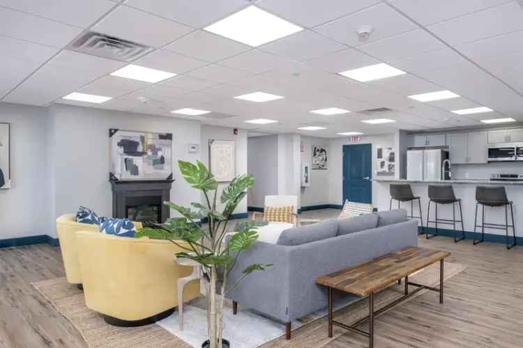 Rent Stylish Modern Pet Friendly Apartments Near Lynnfield