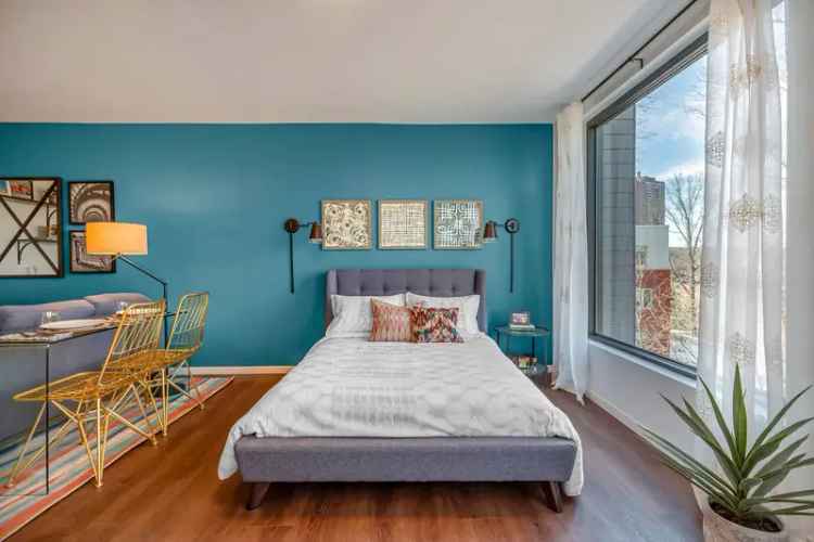 Rent Apartments in Jamaica Plain with Stunning Views and Amenities