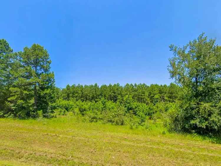 Buy Land in Avinger Texas with Prime Location and Natural Features