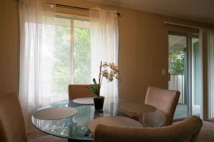 Rent Alpine Vistas Apartments in University Place with Scenic Views and Amenities