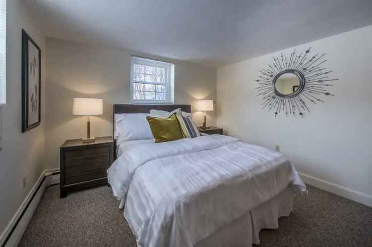 Apartment Rentals in Arlington with Modern Amenities and Pet Friendly Options