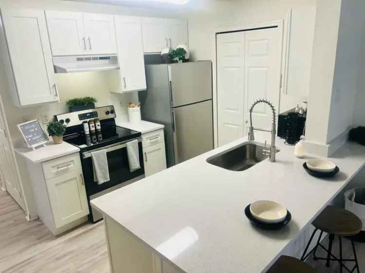 Rent Spacious Apartments with Unique Features near University of Florida