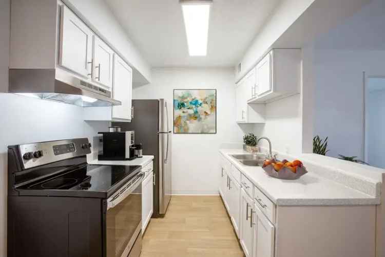 Rent Spacious Apartments with Modern Features in Rio Rancho