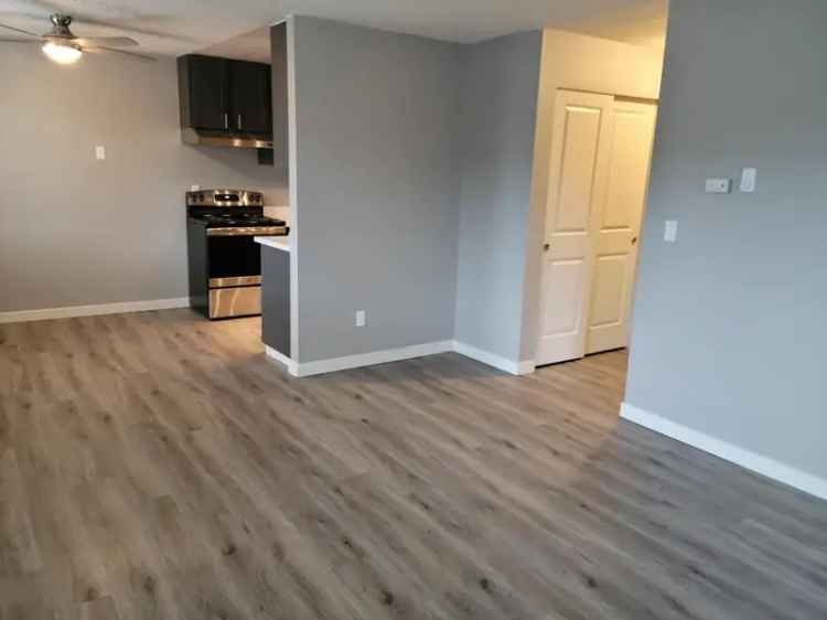 Rent Apartment in Tacoma with Modern Features and Pet Friendly Policies