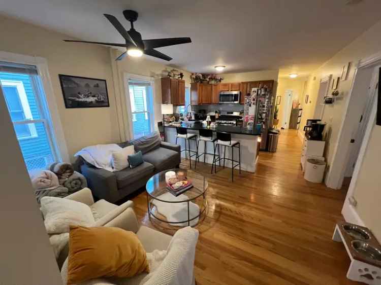 Rent Apartment Unit in Davis Square with 4 Beds and Modern Features