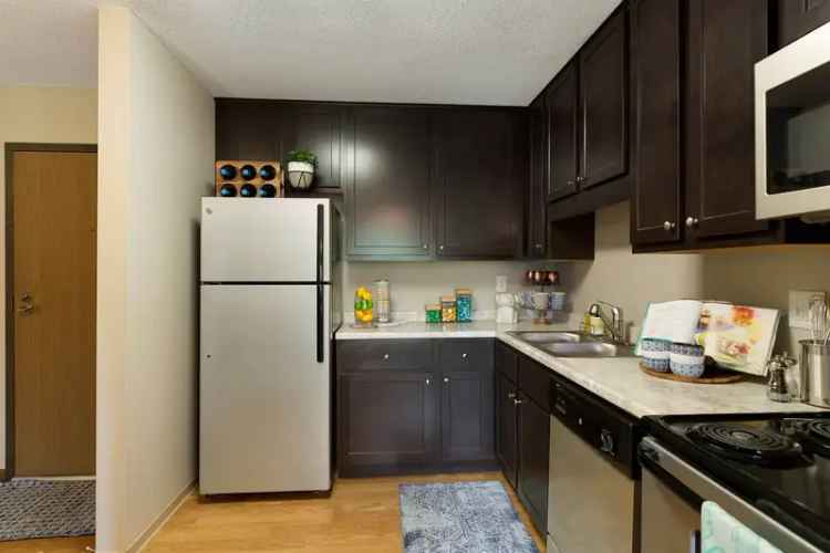 Rent Spacious Burlington Apartments in St Paul MN with Great Amenities