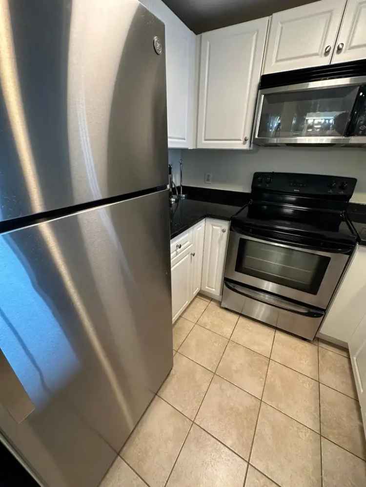 Rent High Floor Apartment in Back Bay with Balcony and River Views