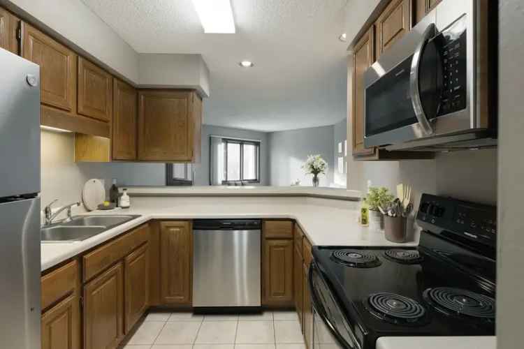 Rent Apartments at MacLaren Hill with Pet-Friendly Features