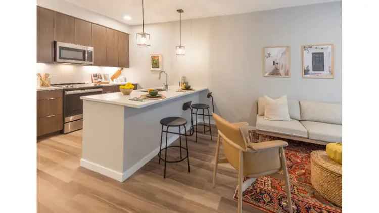 Rent Apartments in Denver with Smart Home Features and Storage Options