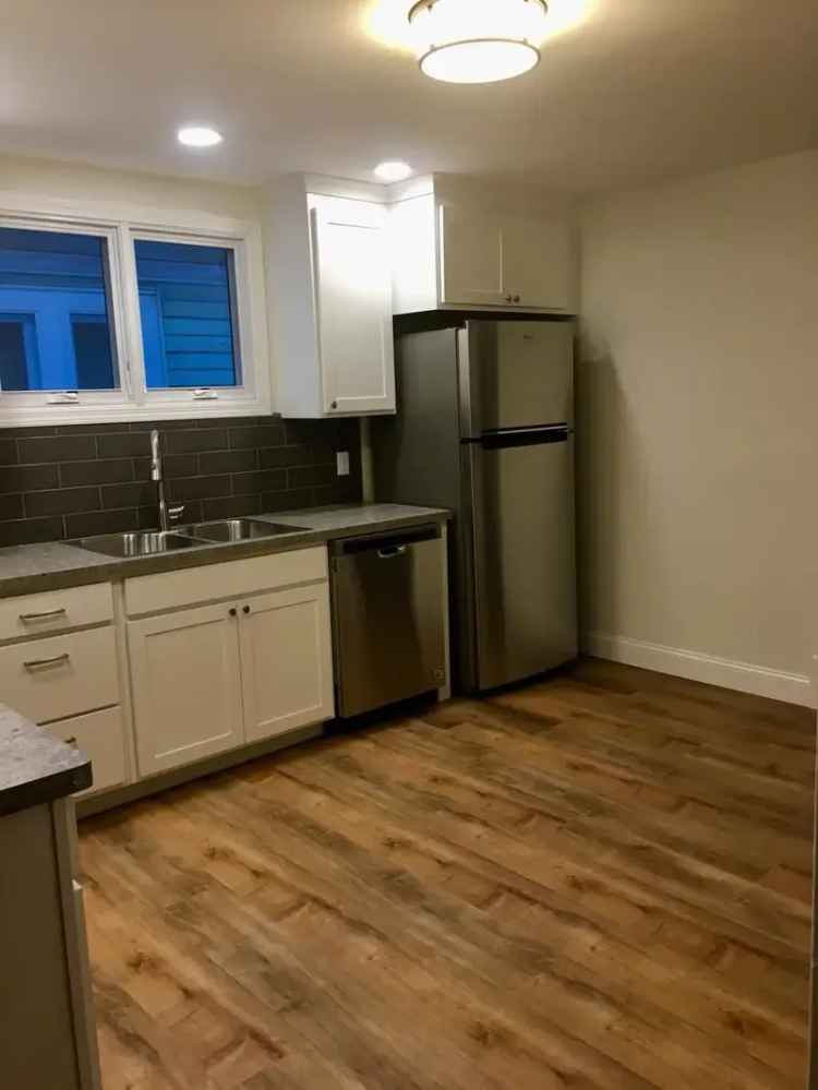 Rent Recently Renovated Apartment in North Buffalo with Modern Features