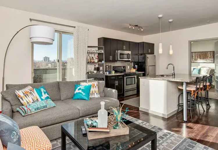 Luxury Rent Apartment in Downtown Denver with Modern Amenities