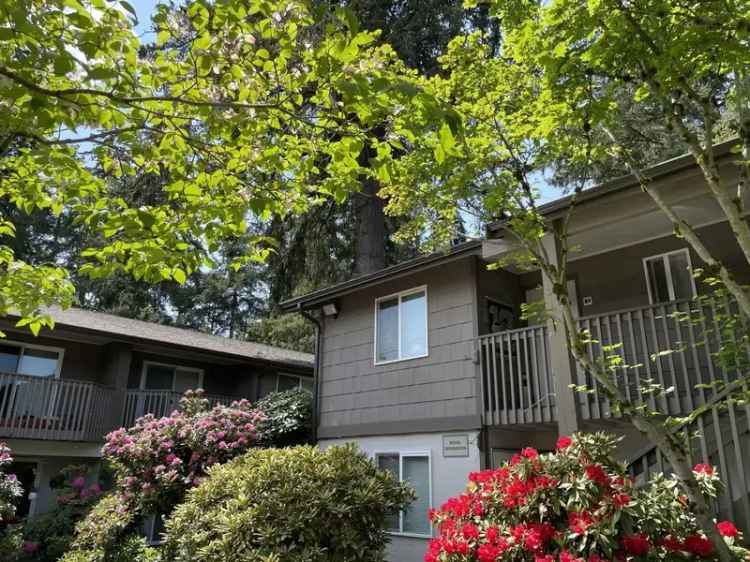 Rent Spacious Apartments in Spanaway WA with Balconies and Patios