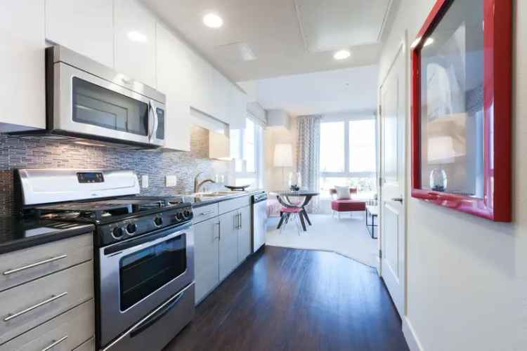 Rent Stunning Apartments in San Jose with Modern Amenities