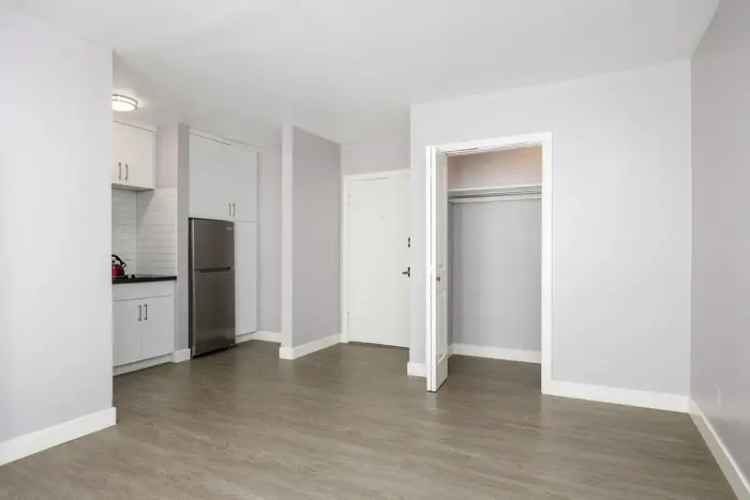 Rent Modern Apartments in Belcrest with Convenient Features