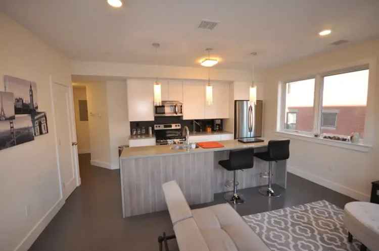 Rent Apartment Unit in Boston South End with Gourmet Kitchen and Parking