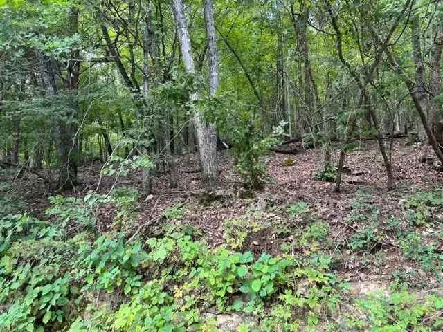 Land For Sale in 80, Stateline Drive, Arkansas