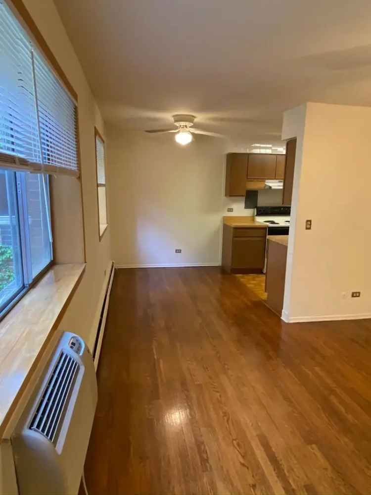 Rent Spacious Apartments in Lincoln Park with Hardwood Floors and More