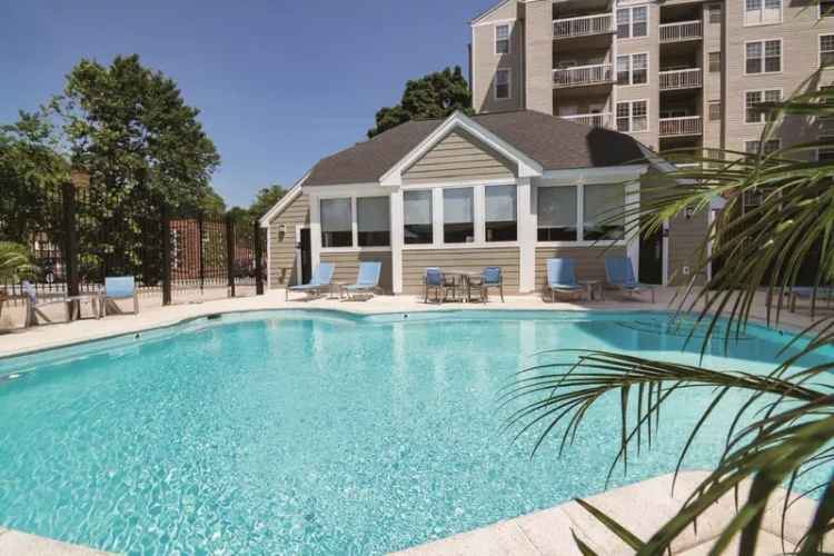 Rent Apartments in Rosslyn with Fitness Center and Pool