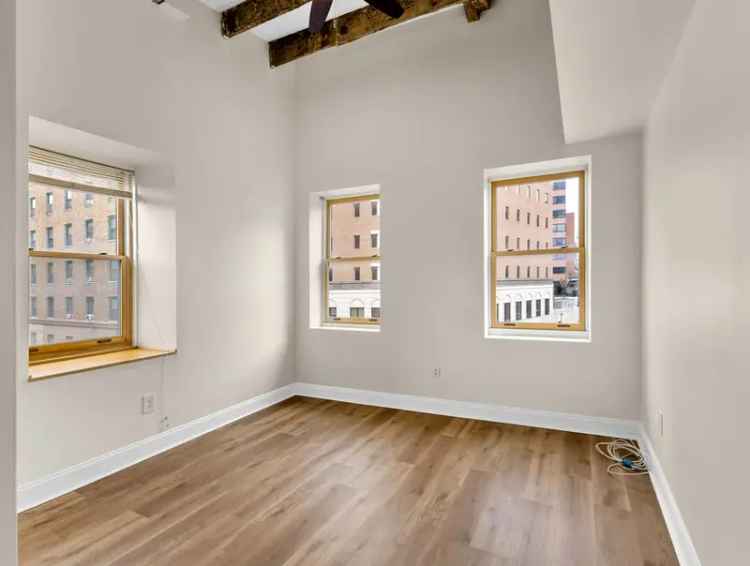 Rent 1 Bed Apartment in Albany NY with High Ceilings and Natural Light