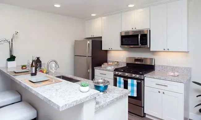 Rent Luxury Apartments in Burlingame with Premium Amenities