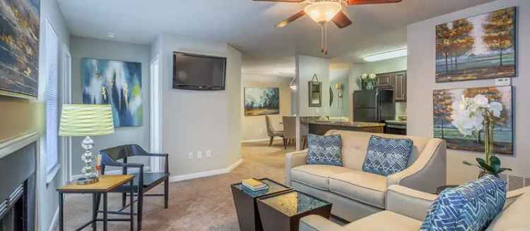 Rent Apartments in Charleston with Luxury Features and Pet-Friendly Options