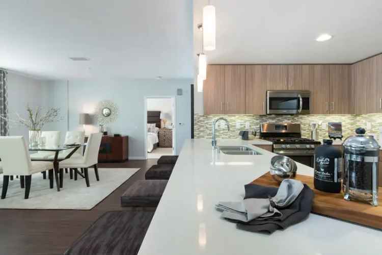 Rent Modern Apartments in Cupertino with Spacious Designs and Amenities