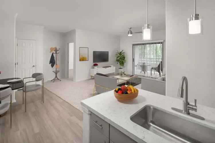 Rent Apartments in Chandler with Modern Features and Amenities